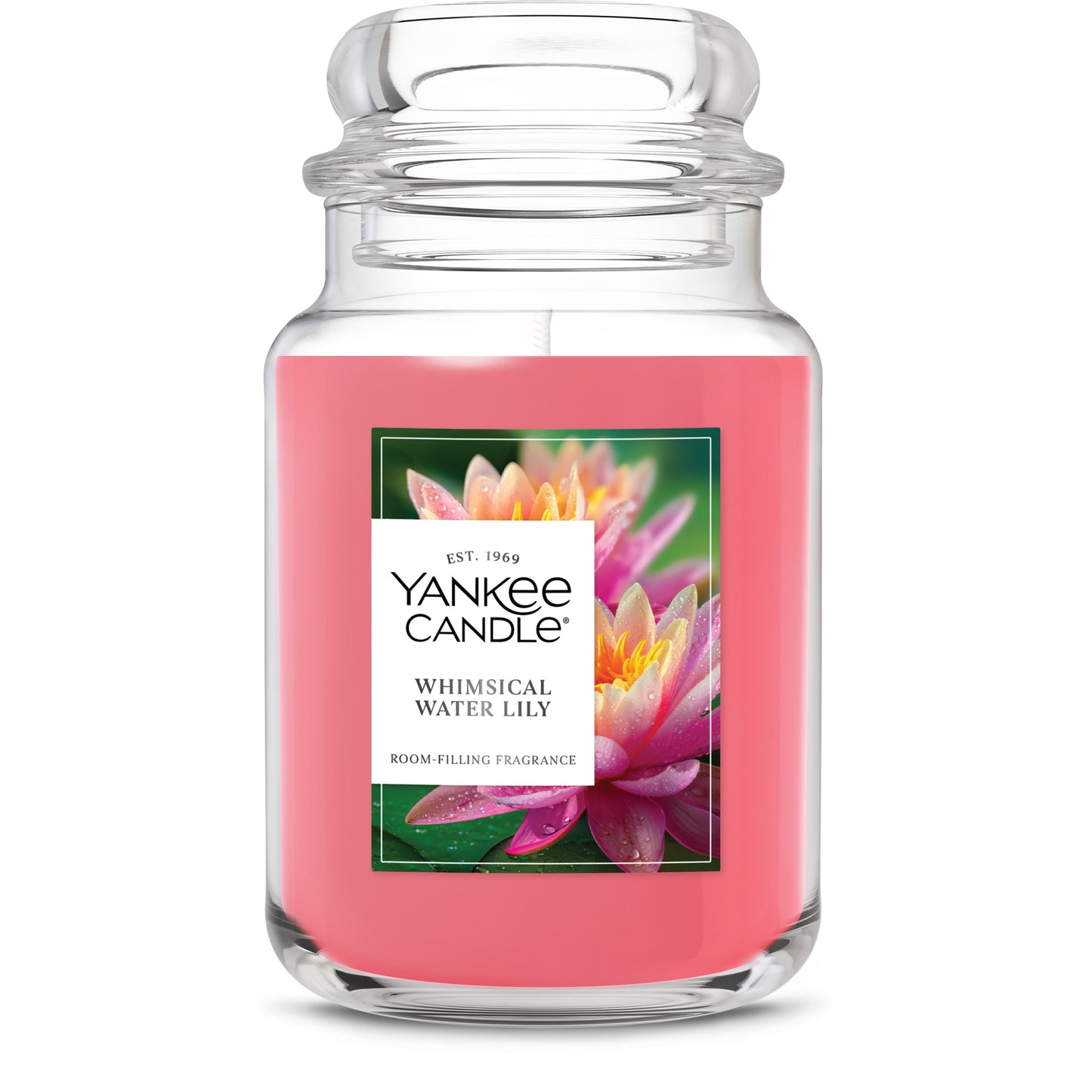 Whimsical Water Lily Select 3-0761