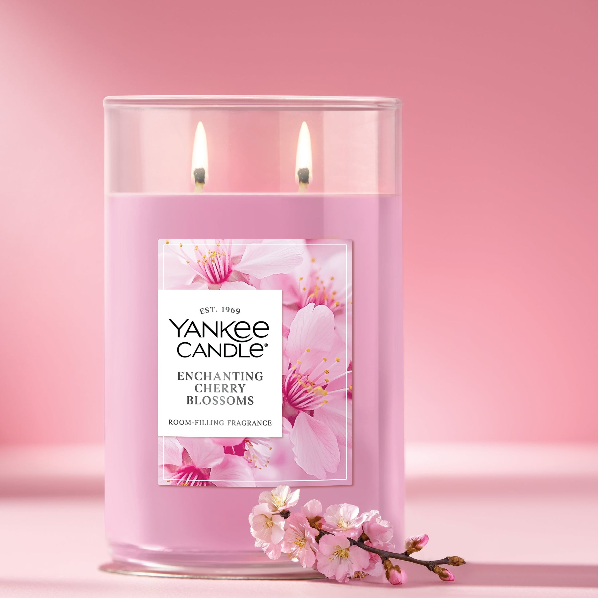 Enchanting Cherry Blossoms